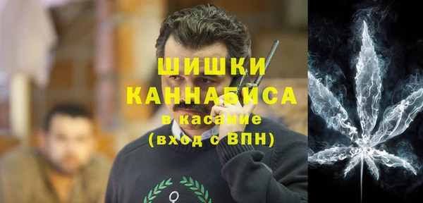 mdpv Бородино