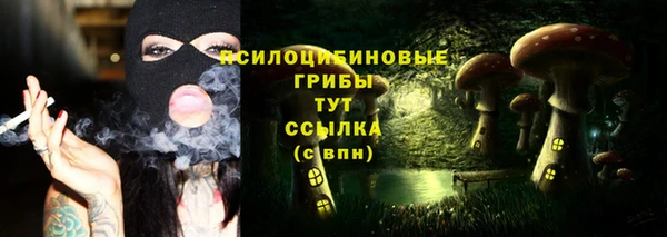 трава Бронницы