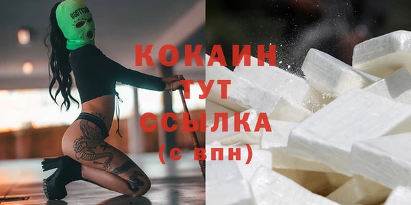 mdpv Бородино