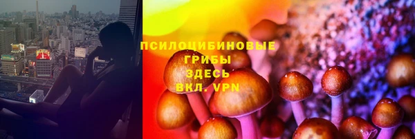 амф Верея