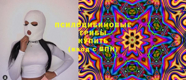 амф Верея