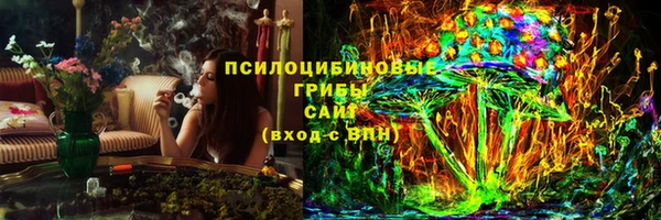 амф Верея