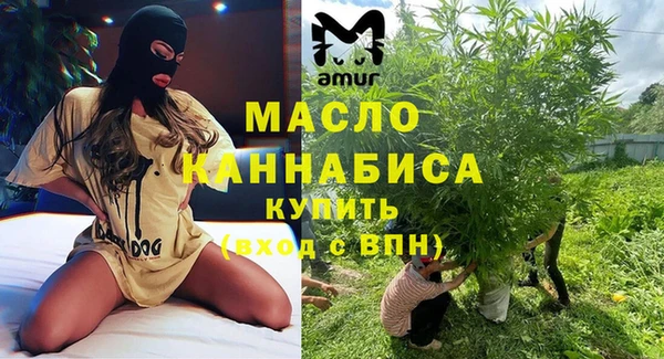 mdpv Бородино