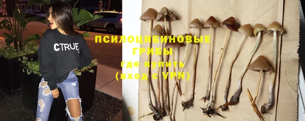 прущие грибы Верхнеуральск