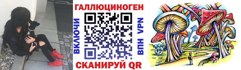 Галлюциногенные грибы Cubensis  Медвежьегорск 